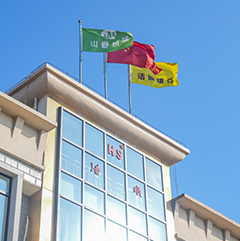 Nantong Haoshun Fundição Co., Ltd.